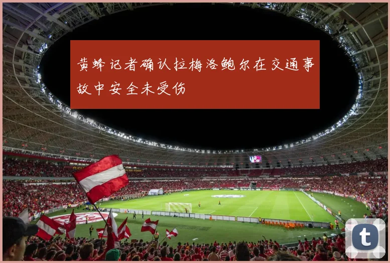 黄蜂记者确认拉梅洛鲍尔在交通事故中安全未受伤